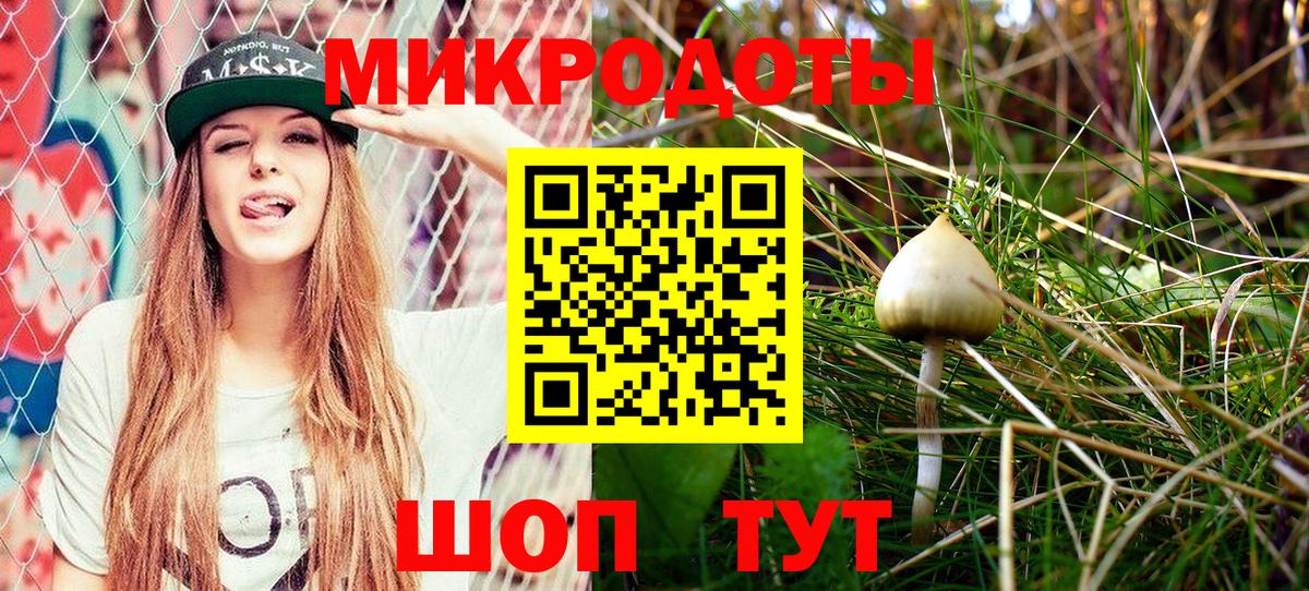 Псилоцибиновые грибы Cubensis Люберцы