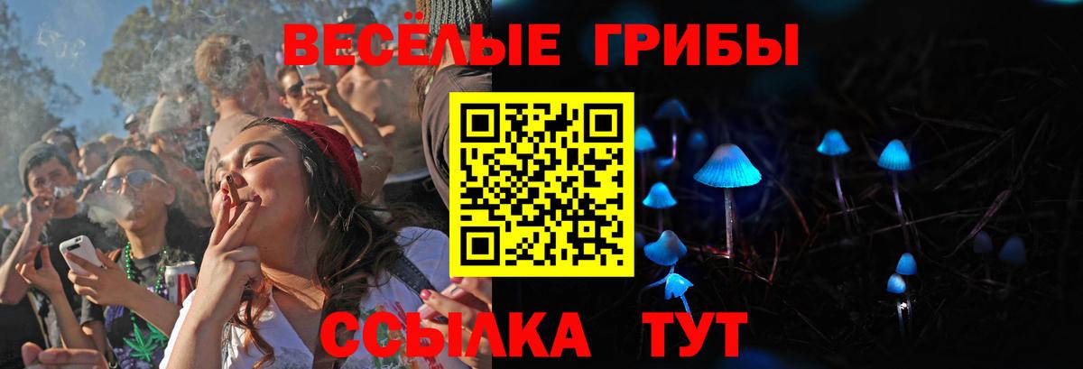 Псилоцибиновые грибы Psilocybe  Вход с VPN  Галлюциногенные грибы прущие грибы  Люберцы 